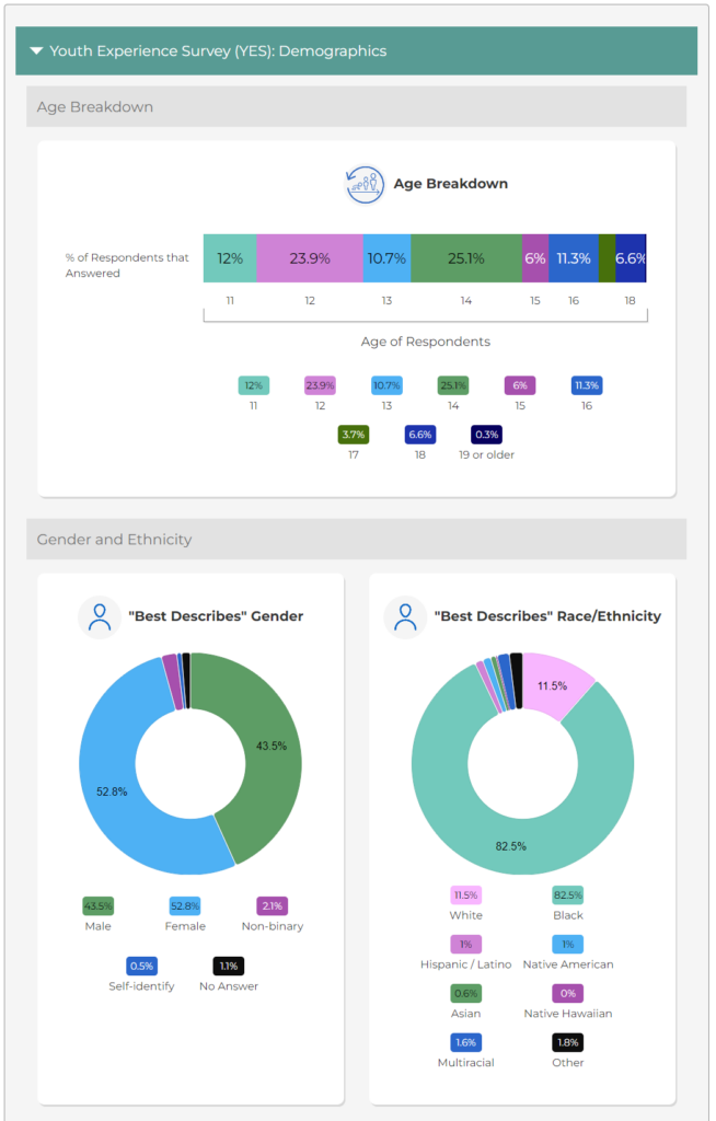 YES dashboard with bar charts and pie charts for age, gender, and race/ethnicity.
